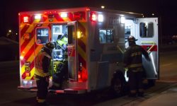 Woman Critically Injured When Tree Falls on Her Vehicle in Bay Minette