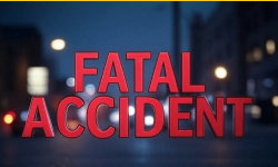 Female Pedestrian Struck and Killed by Vehicle
