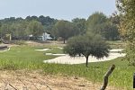 Pecan Grove Now Grows a Golf Course, Homes and Memories