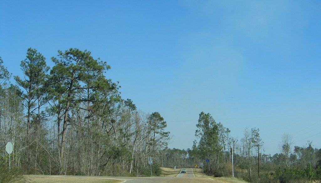 Baldwin County Search and Rescue Operation Quickly Finds Lost Man