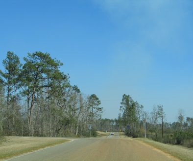 Baldwin County Search and Rescue Operation Quickly Finds Lost Man