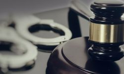 Alabama Man Pleads Guilty to His Role in International Drug Trafficking