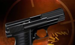 Mobile Woman Jailed After Shooting Incident