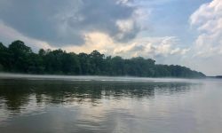First Responders Tackle Boat Crash on Tensaw River in the Dark