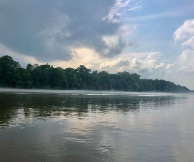 First Responders Tackle Boat Crash on Tensaw River in the Dark
