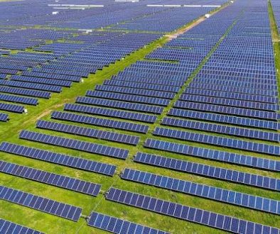 Stockton Solar Farm Continues Forward