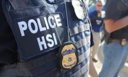 CBP and HSI Make Child Porn Arrests on Cruise Ships