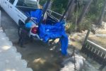 Manatee Struck and Killed by Boat in Orange Beach
