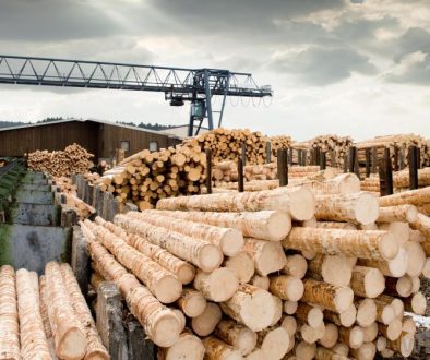 Seattle Lumber Company Investing $16M in Colbert County Facility