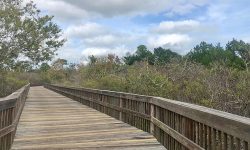 Fort Morgan Trail Extended with New Gulf State Park Section