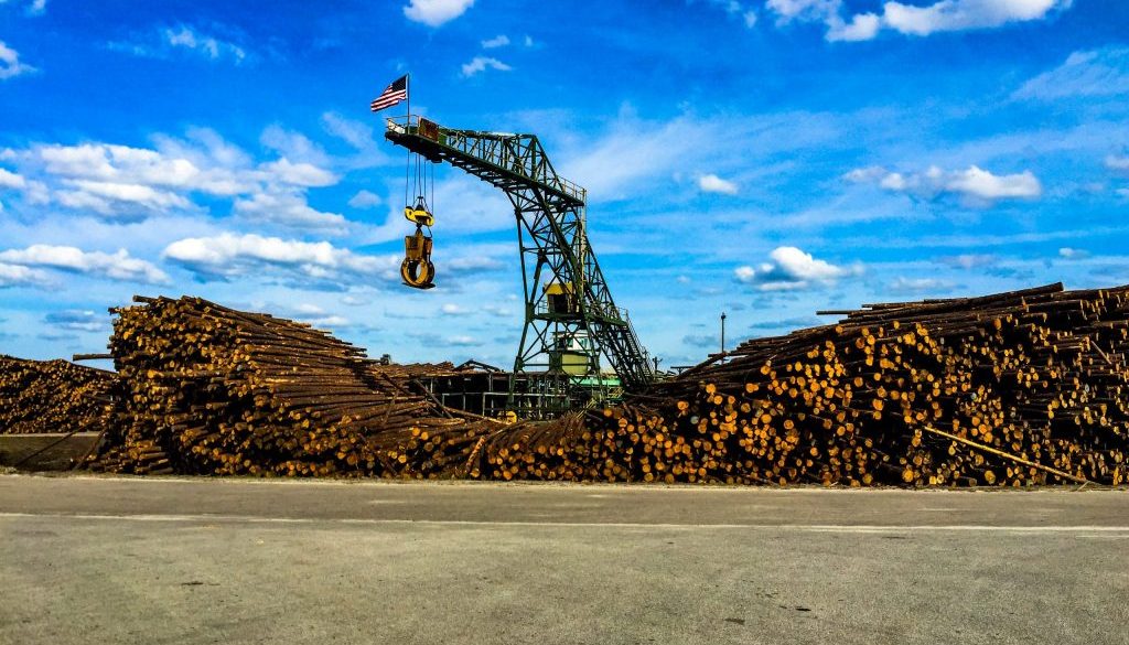 Timber Company Employee Killed in Mobile County Workplace Incident