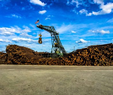 Timber Company Employee Killed in Mobile County Workplace Incident