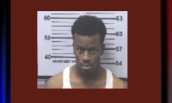 Driver Arrested After Crashing During Police Pursuit