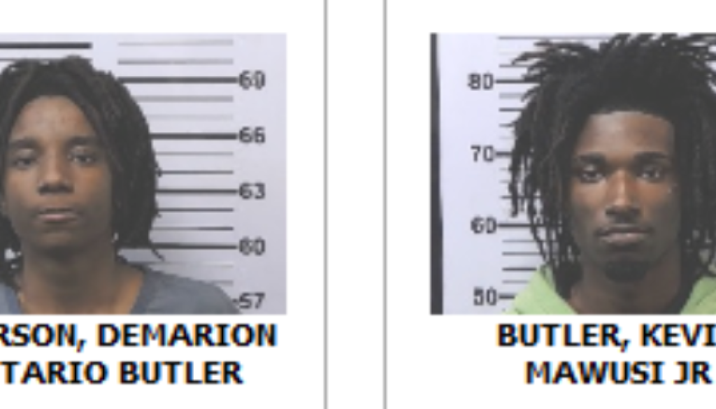 Police Pursue Stolen Vehicle Making Two Arrests