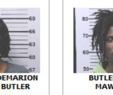 Police Pursue Stolen Vehicle Making Two Arrests
